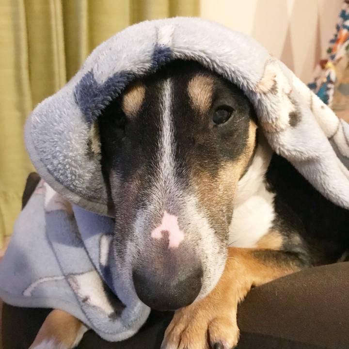 F906ecc4 e633 47e0 86bc c474e3a820fa 1512828804763