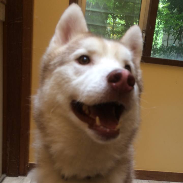 F906f7d0 6e76 4d1c a340 6dee71369906 1557791888248