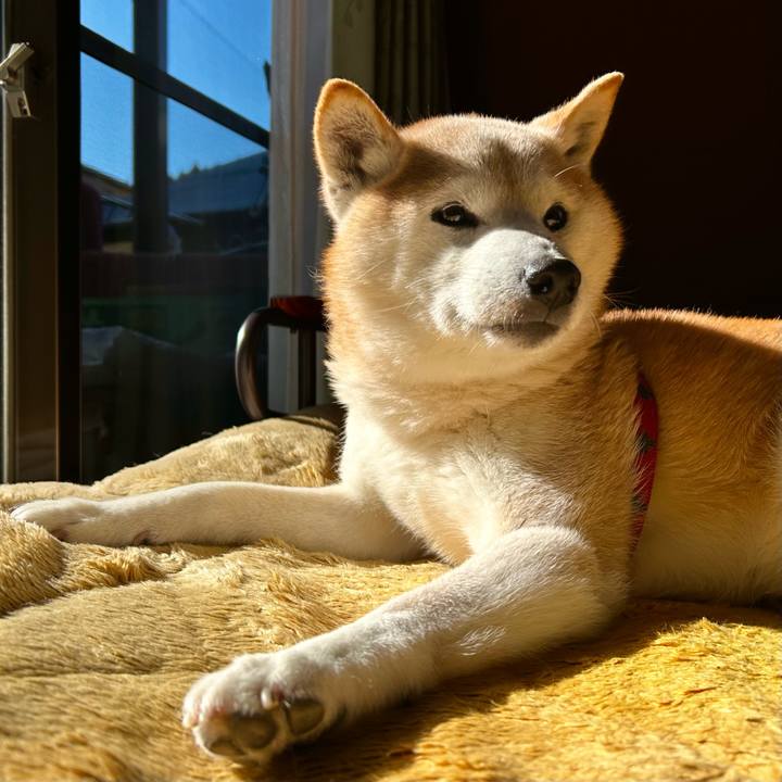 F9070670 19b3 4981 94e8 b1d2fb48949b 1770202998480