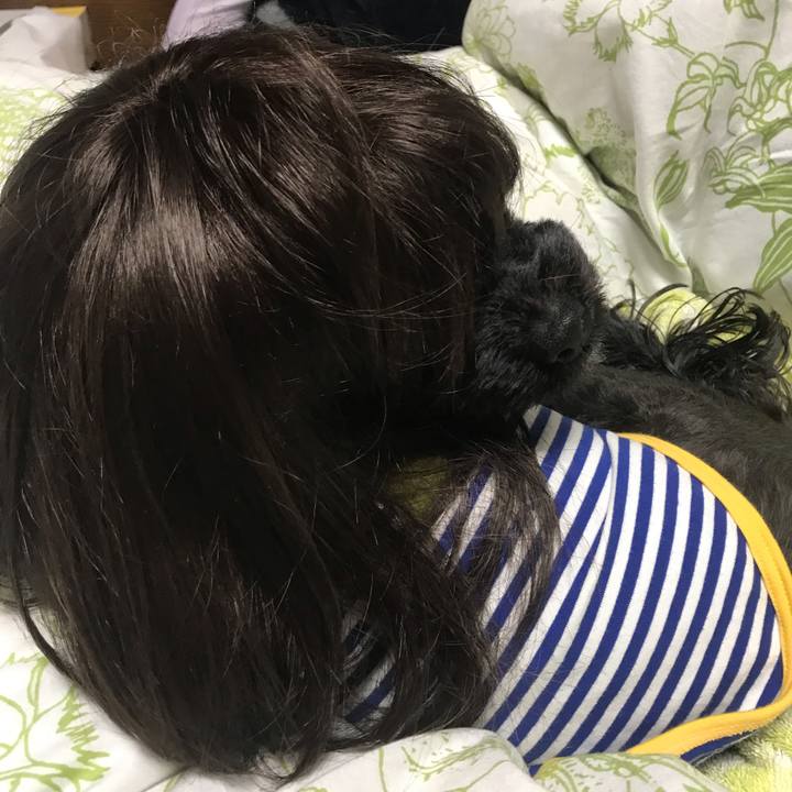 F9070d91 09fa 4121 98be 0ae23f7046b4 1554427345352