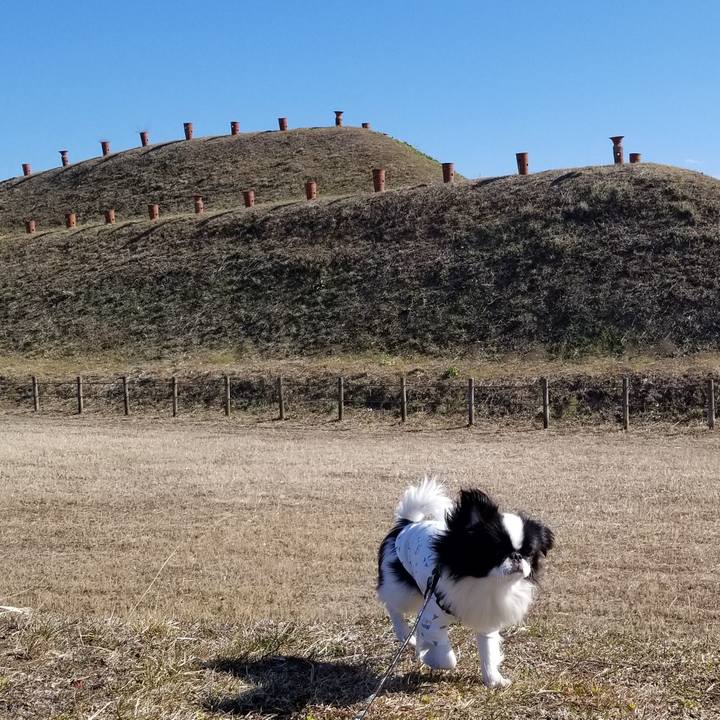 F90726f8 872d 4493 b865 d770719f9cb7 1645604662852