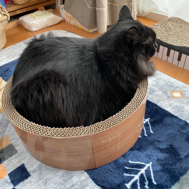 F9072ef7 1632 4de2 86d2 566fbc4e06c4 1583372587118