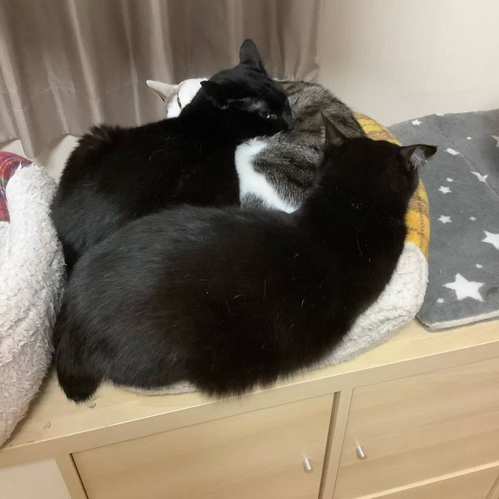 F9074322 7bd8 4db2 b1db ea4efcda79c4 1742121962684