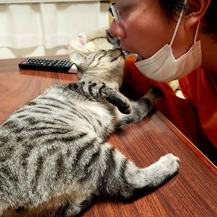 F9075ffa d760 4bb9 8ff9 f2f343ffcff8 1668601831738