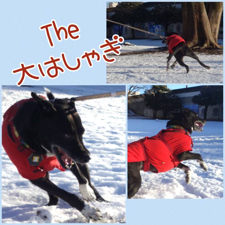 F907ad21 7925 4784 877a 5f023f2fc95c 1676078284676