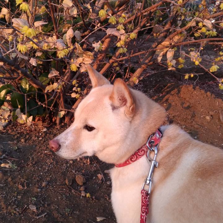 F907b1e8 50a7 4378 8ba7 e47c9d64371d 1547549351106