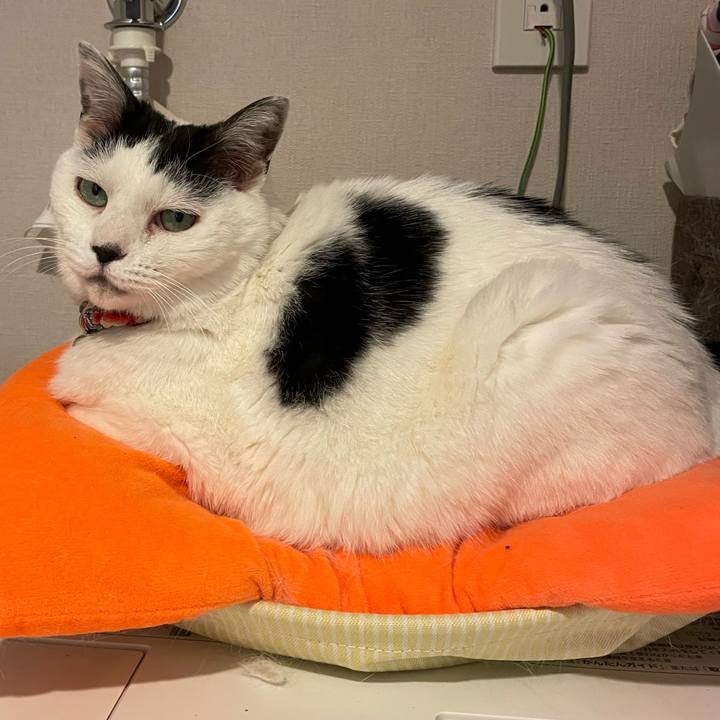 F907c120 dec2 4748 b060 bc40183fda5d 1712620811561