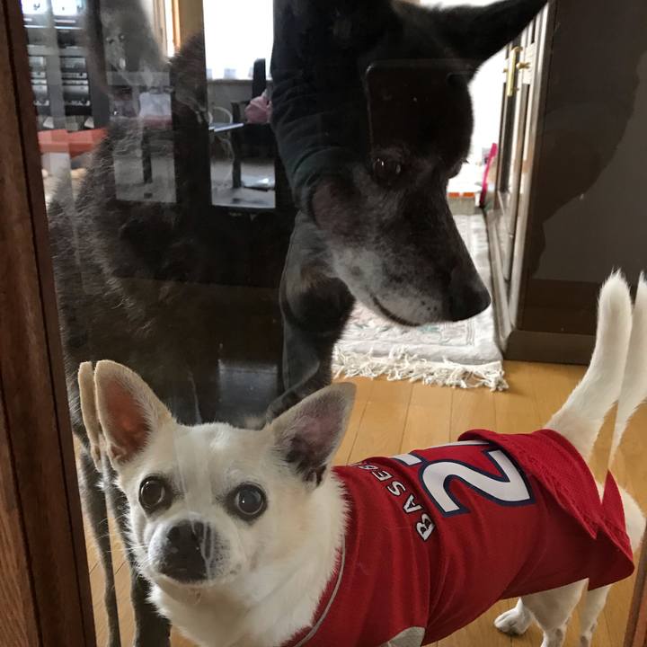 F907f16b 44e3 4cf3 bbbb 9514cc7e1f84 1561725779773