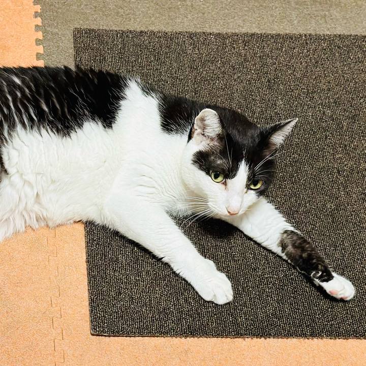 F9081064 2d68 4f86 9f1b e78378137188 1699146386378