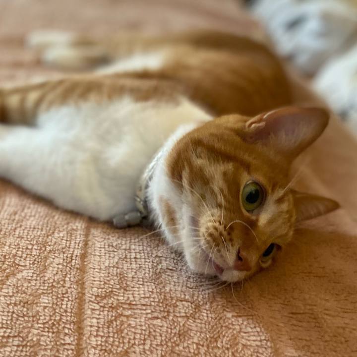 F908271e 1347 44d4 9f58 7b465ff78de1 1682059084401