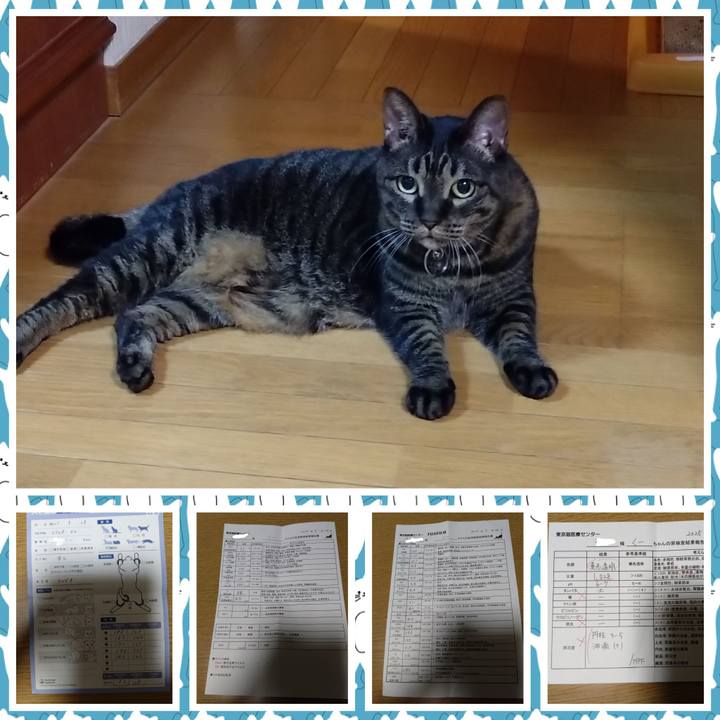 F9083e8d e56e 402c bd6d 5bb71f0af24b 1759055039187