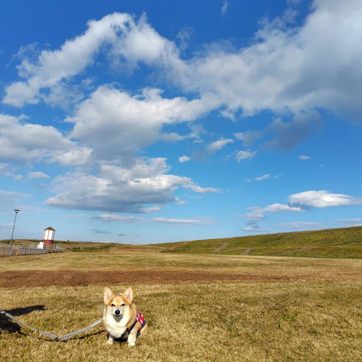 F9084e81 78c1 41f9 a3a7 49ea6e1f8ed8 1765504061247