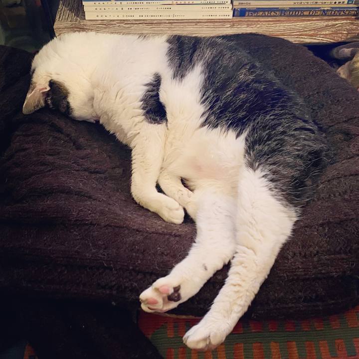 F908686a d0d7 43d5 98ed 9019a025ad63 1585926377724