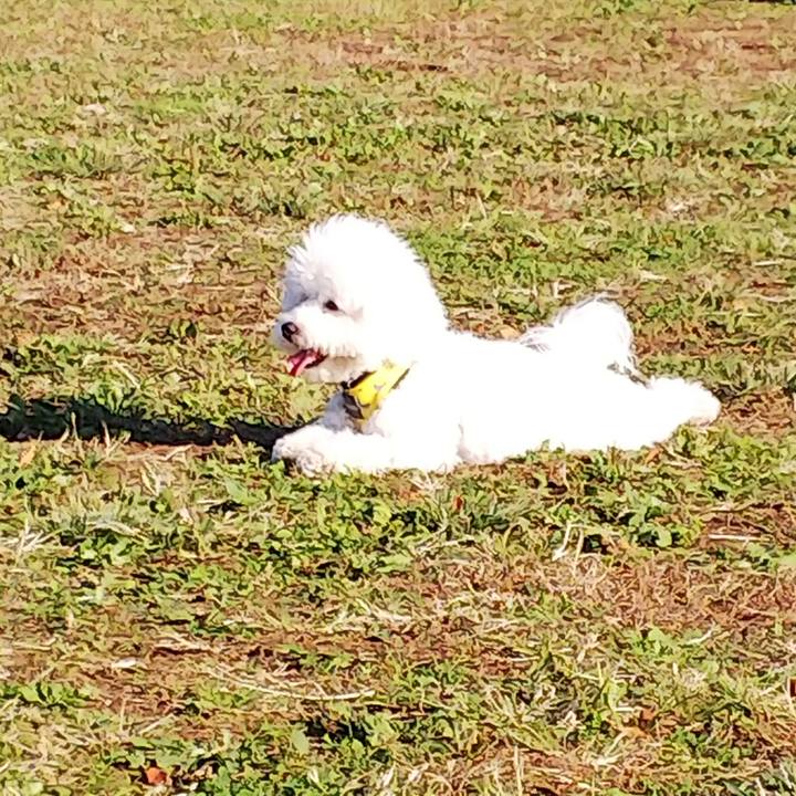 F908fbc9 48d8 47df 817c 5f753344ae68 1509767038248