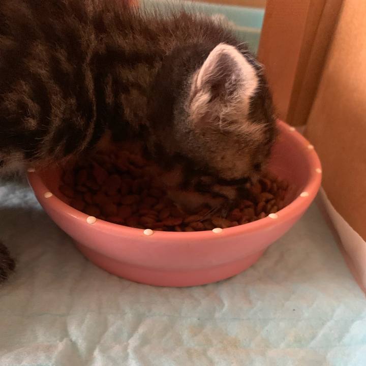 F9096595 ff21 4c24 91c5 60b9e96aed63 1570245465531