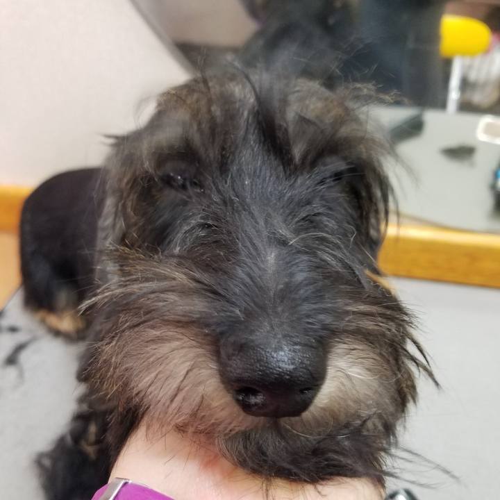 F9097114 538d 4a38 b47b df6a5662c17f 1588164090506