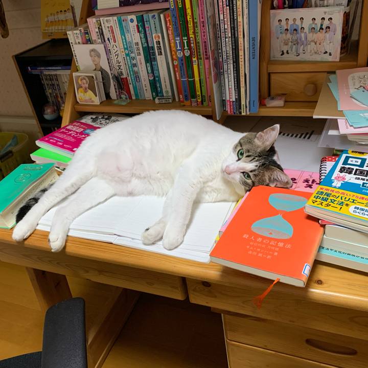 F9097dfa 8875 4810 a935 2b06223c2dfe 1603403673940