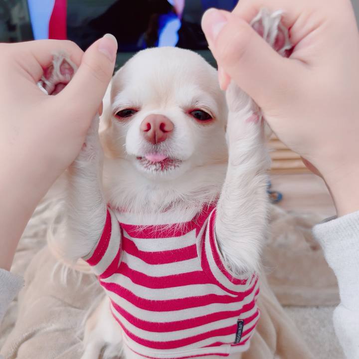 F90980ae 6149 49d7 8c4d f1e3af5d3e05 1705154205954