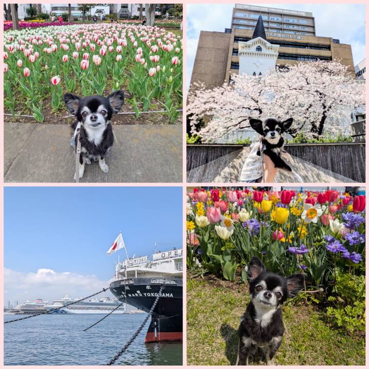 F90a626a 861f 41b4 befc 34a901526050 1774788232250