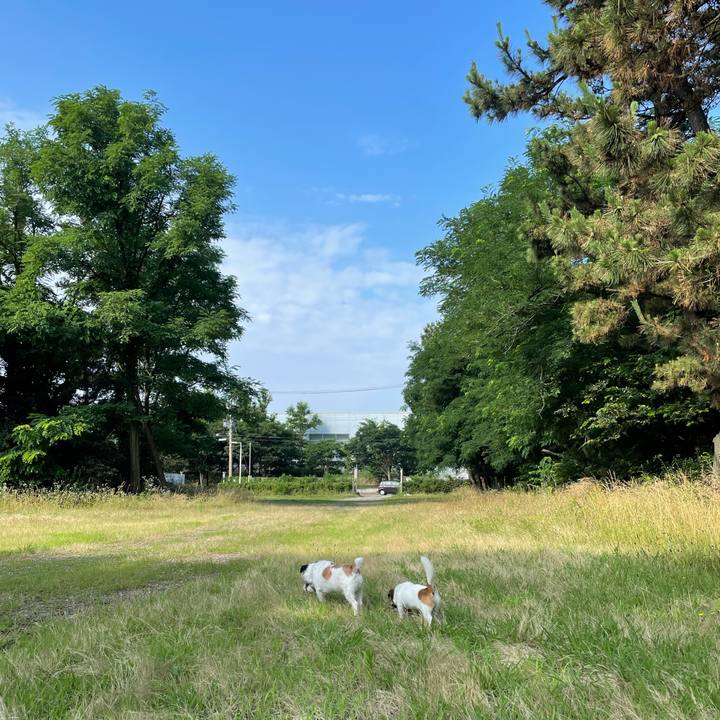 F90a954e db10 4279 a465 ab4606977887 1626218796407