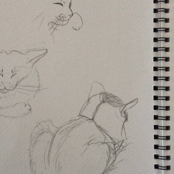 F90adeb9 7d28 4f24 b532 8f3b6da45d56 1594975784499