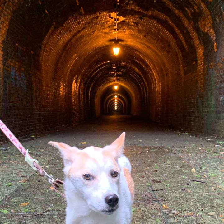 F90ae08d 2a8d 4c1d bd90 70fc99080820 1664078324291