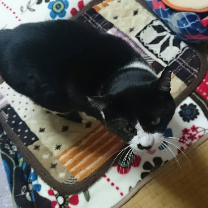 F90aeb2a 7ec8 42f8 aed4 9997dd9e807c 1512870338004