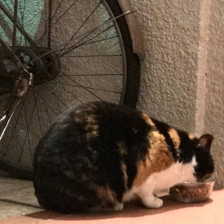 F90afd5a fd7c 4810 8108 b467df8089f7 1580625072694