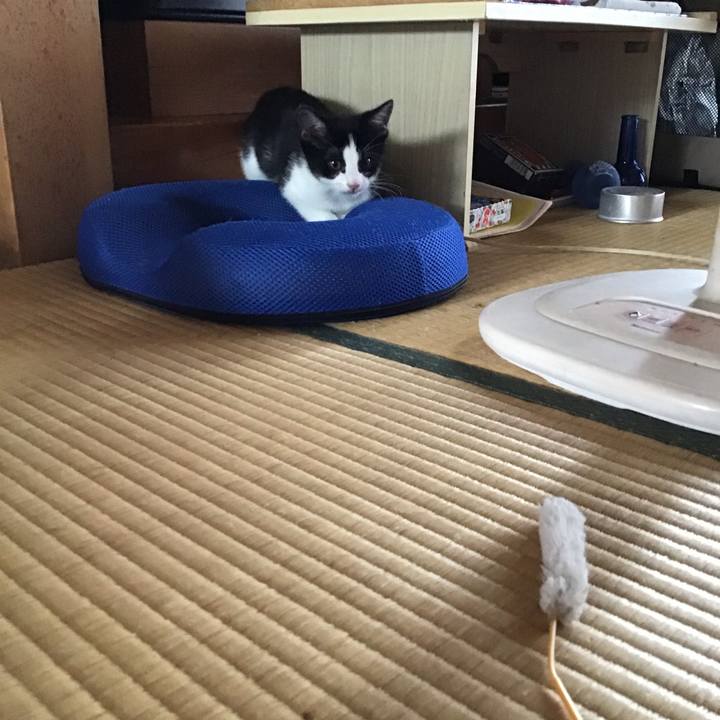 F90b0765 f420 441a 9167 454557bb05ee 1625643635368