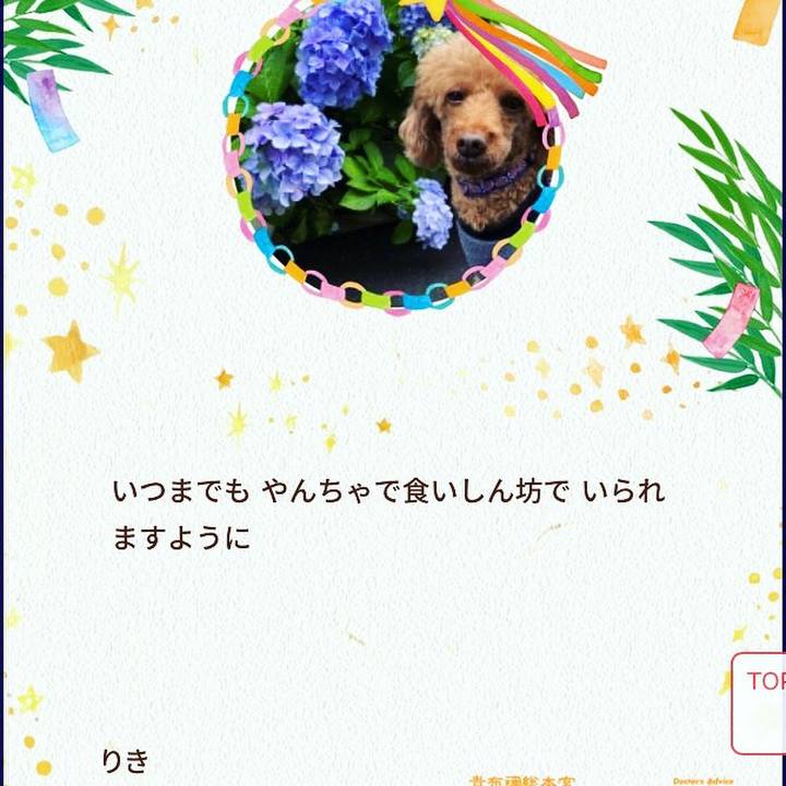 F90b1429 cff5 4031 b53b 059af6964b47 1655882443119