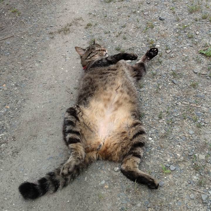 F90b226b 2c88 4cde b5fa e1ad405fa0ce 1689664212854