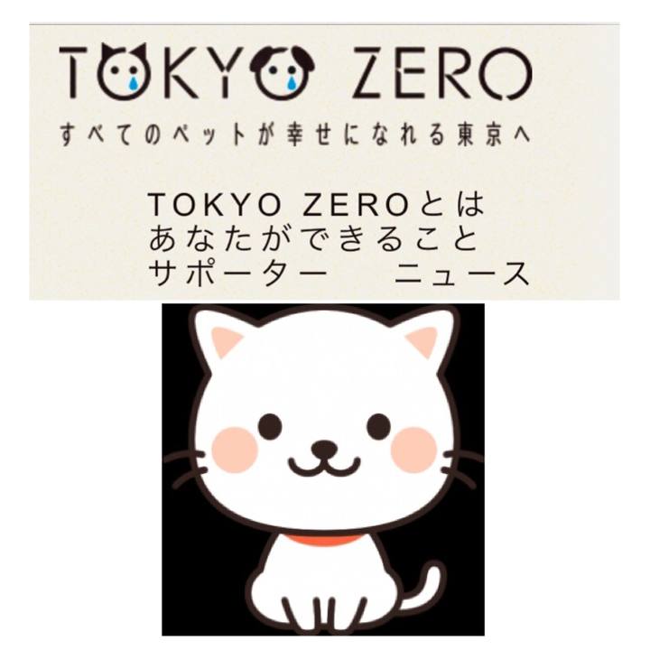 F90b2593 8472 4a2c bab8 522fe7435350 1571815135048