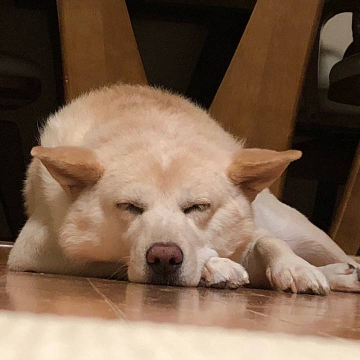 F90b3284 dcd8 428d 9704 5ffcec4090a8 1537840877287