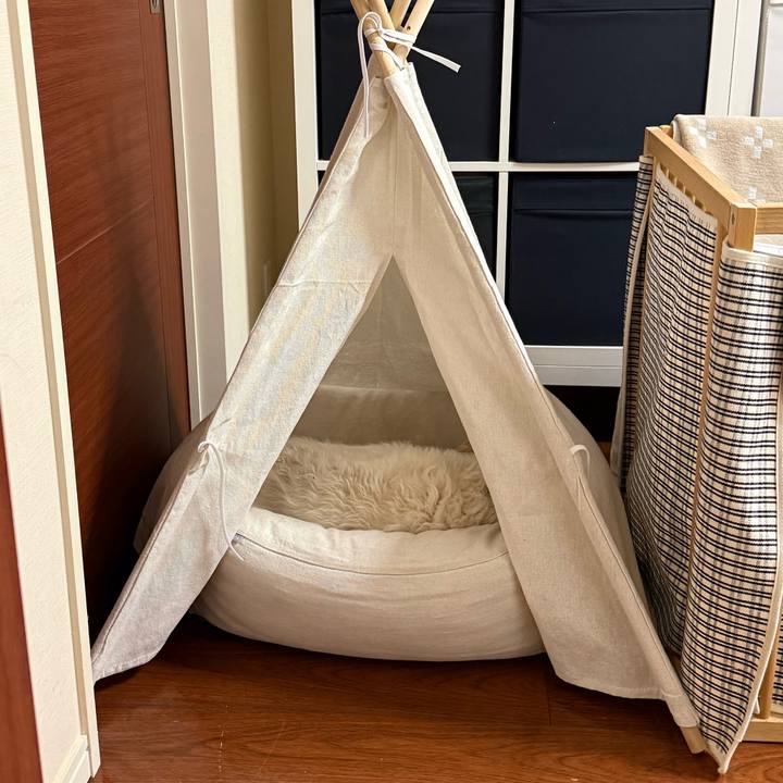 F90b6ce3 8b68 4e81 a8e4 934e3f05c117 1770636771771