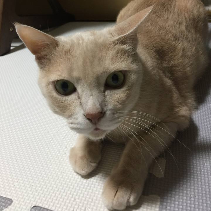 F90bb5e3 518a 4c65 a5fd 8eeff24da82c 1698229887512