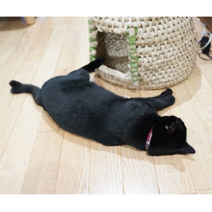 F90bd1a0 f686 43bd aba4 cb55cfa222ea 1562198144250