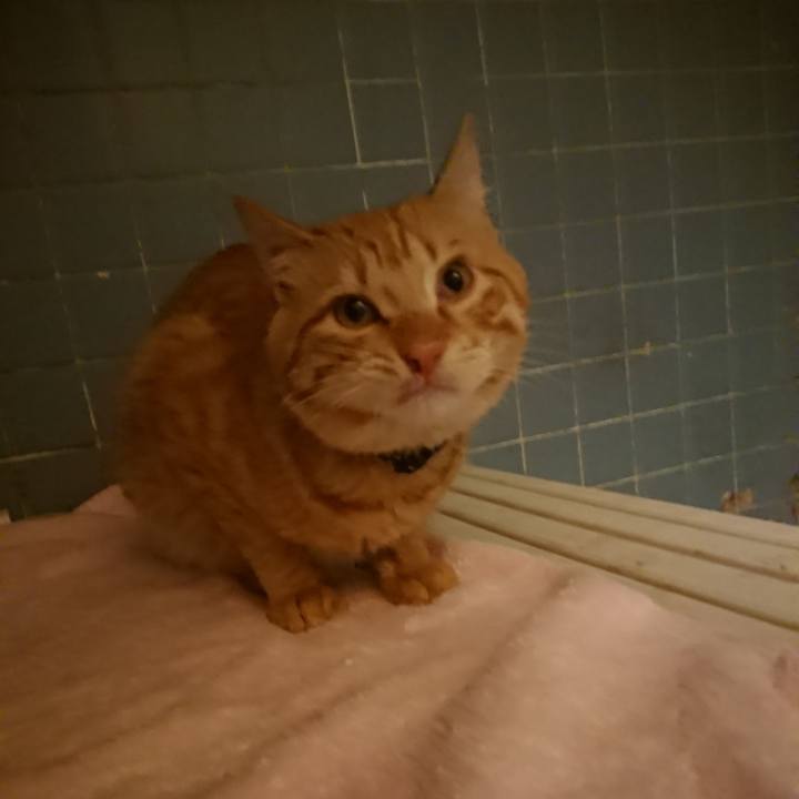 F90c6bfb c41d 4889 80e7 a209ccd04974 1643018707503