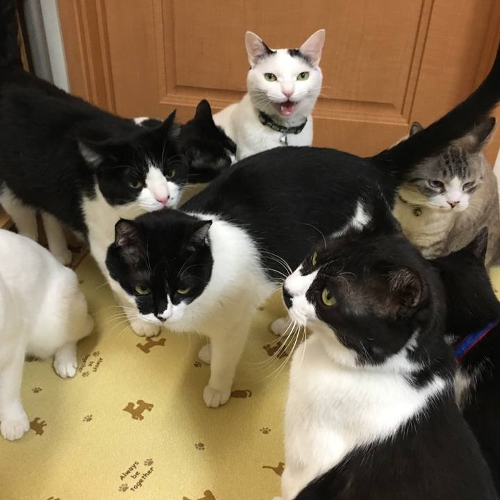 F90c849b 0a66 4d7d b395 882808fa8456 1513596979529