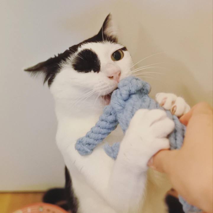 F90c9b62 61a5 44fc 9237 959cb0aab6de 1594738438680