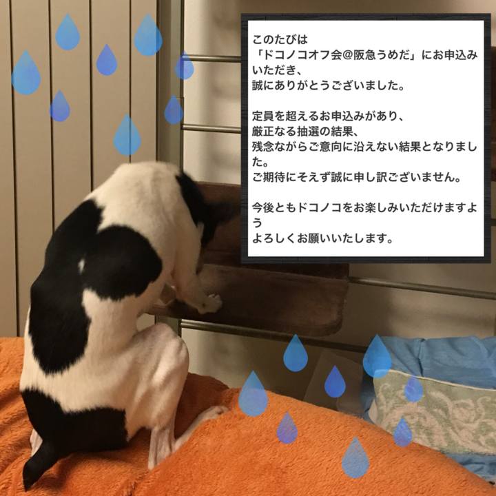 F90ca895 dea7 4634 a528 05964d3228be 1536232041901