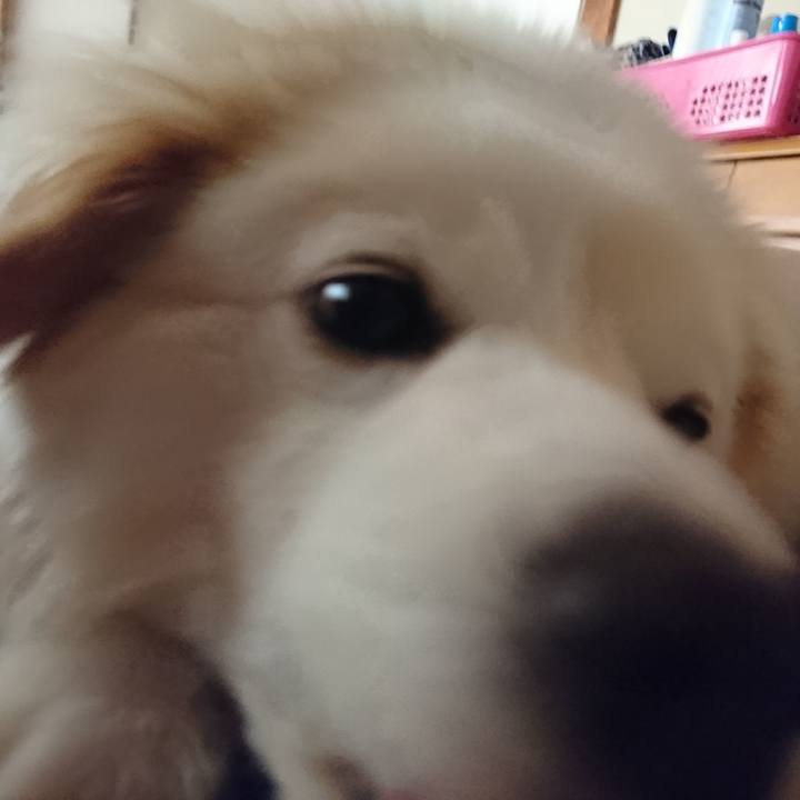 F90cc3c6 6083 4ca0 9184 c52d89fb16f4 1527194287453