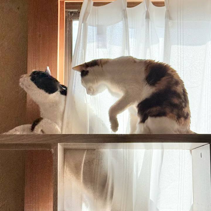 F90ce9fd f90a 4f51 88f5 584ffc2ede3a 1740879230515