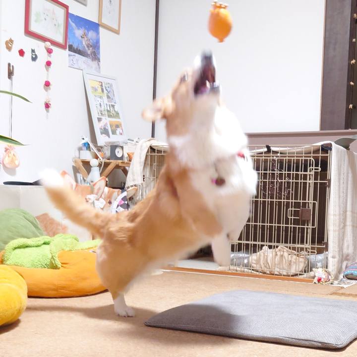 F90cfc3d beab 42b4 998b 84f2003361de 1767098806012