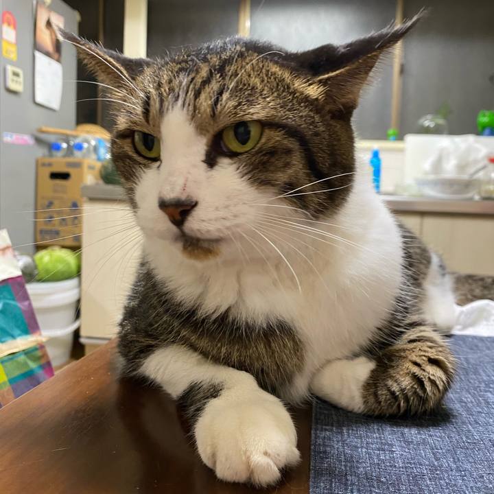 F90d0922 a1d5 4c21 8635 ec70e665f728 1664020394104