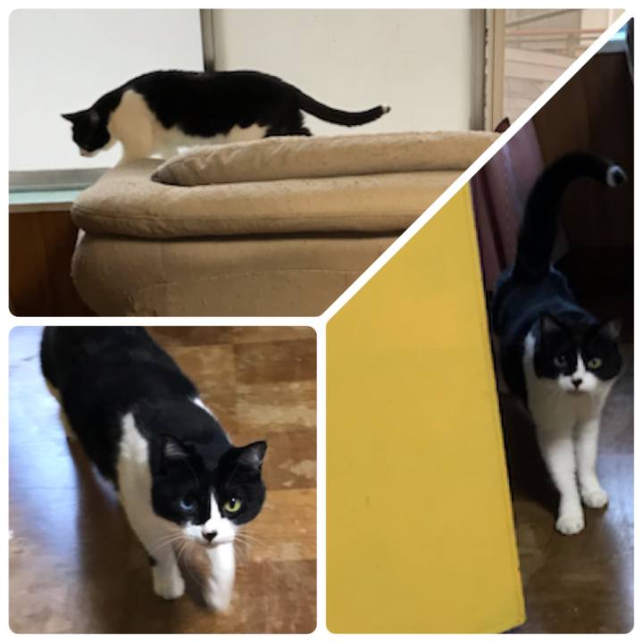 F90d5516 5f78 4097 9826 dc1a234c9dce 1587886348081