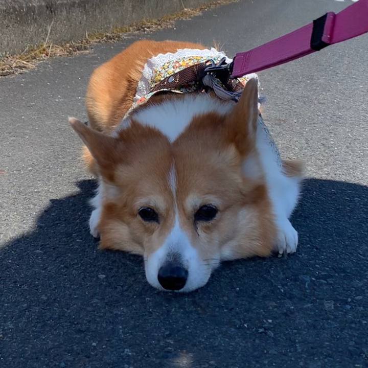 F90d9c91 2e1f 4062 b8fa 899ce2f95cd8 1676949680719