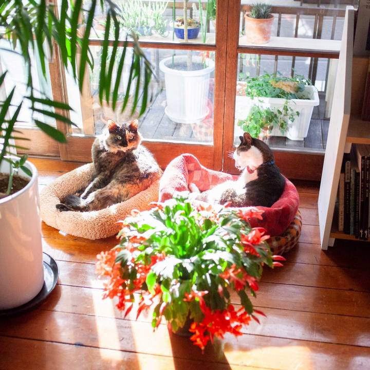 F90dd434 a431 4038 bb72 dbc01781c2f2 1580621034288