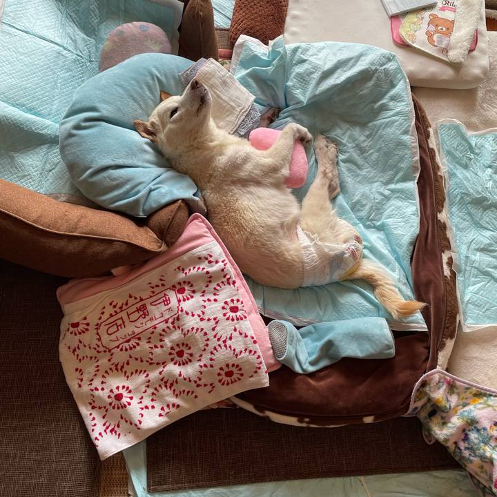 F90de571 e6a0 47c6 b0b4 e102cb56aba0 1678252287736