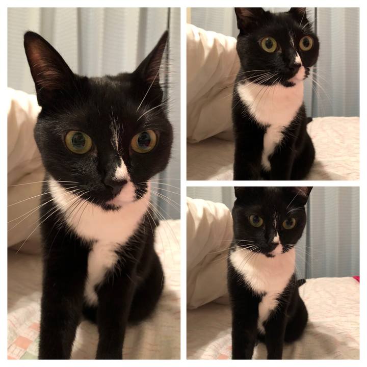 F90df3ab ab95 41d5 b3ce 3115c894d22c 1538609035606