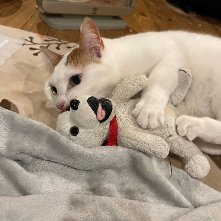 F90e0c7b fee4 423b 9786 f2f2ac6c5b96 1768310092440